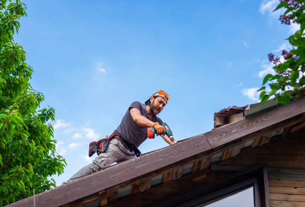 Best Roof Ventilation Installation  in Tullahoma, TN